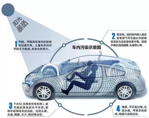 汽车帘子尺寸是多少 汽车帘子尺寸是多少